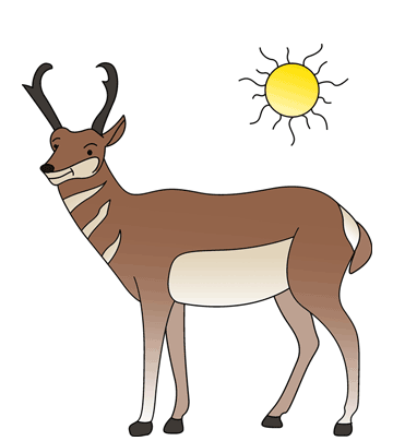 Cute Antelope Coloring Pages